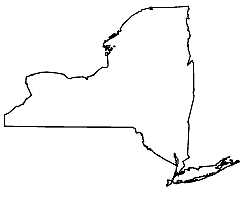 New York Map